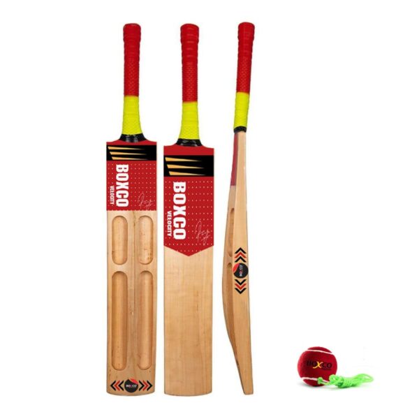 Boxco Velocity Cricket Bat with Practice Tennis Ball, Wooden Bat, Hanging Ball